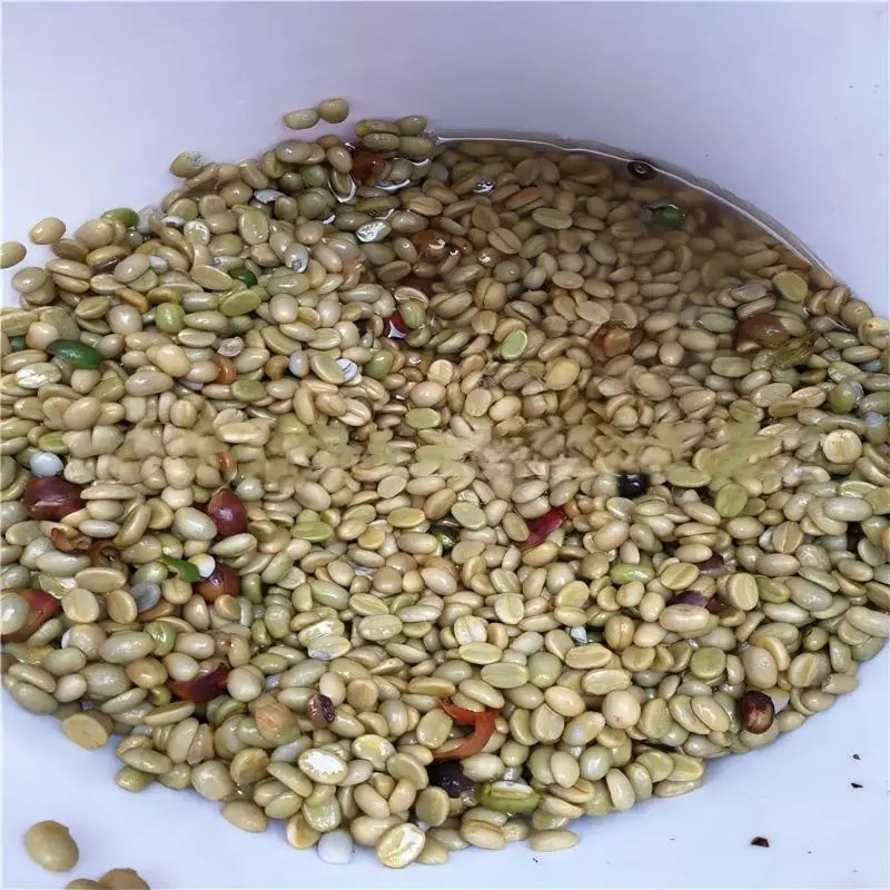آلة تحميص القهوة المتخصصة - إن - مراجعة Coffee Equipment In China وسعره